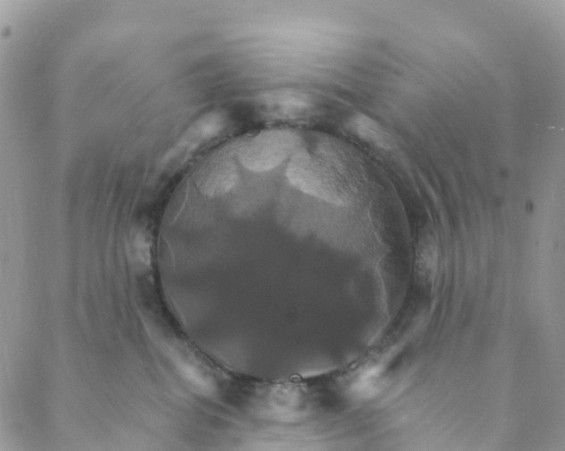 X0000088470282200706121537