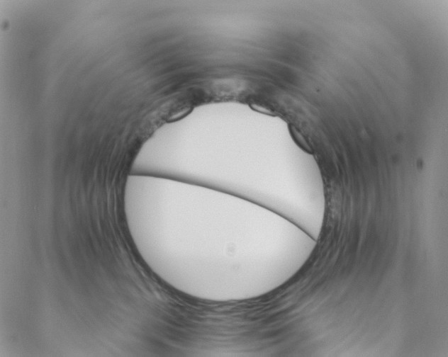 X0000088470283200706121537