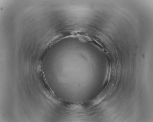 X0000088470284200706121537