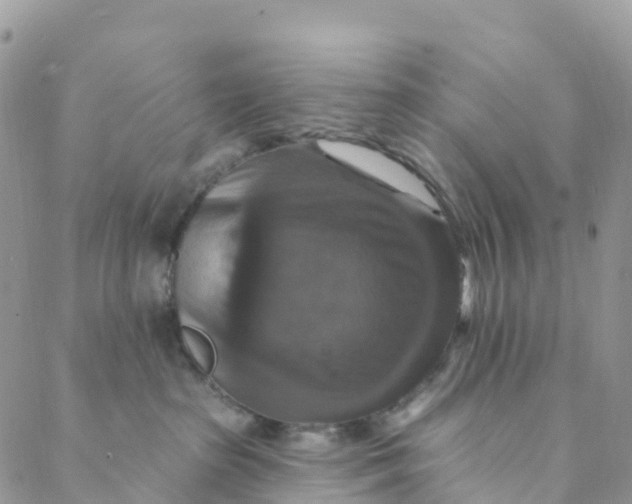 X0000088470285200706121537