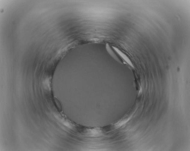 X0000088470286200706121537