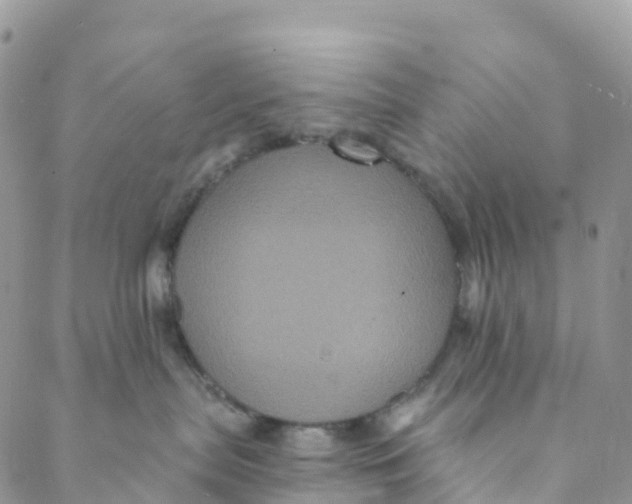 X0000088470287200706121537