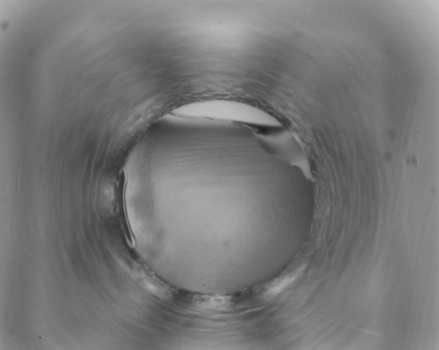 X0000088470288200706121537