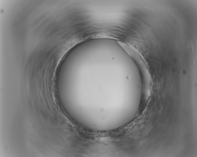 X0000088470289200706121536