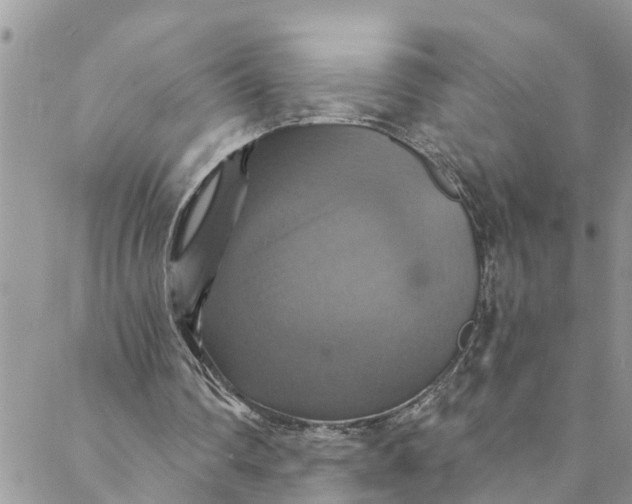 X0000088470290200706121536