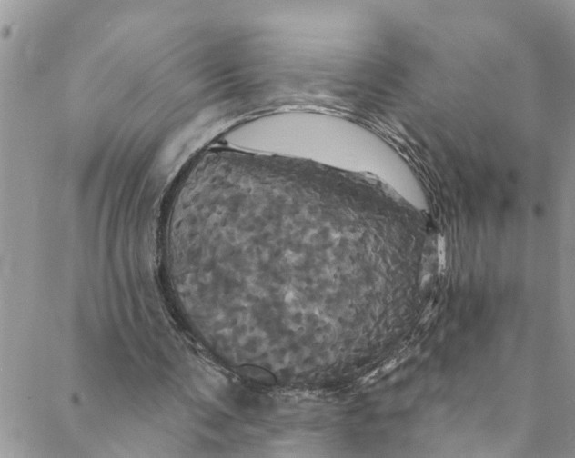 X0000088470291200706121536