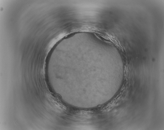 X0000088470292200706121536