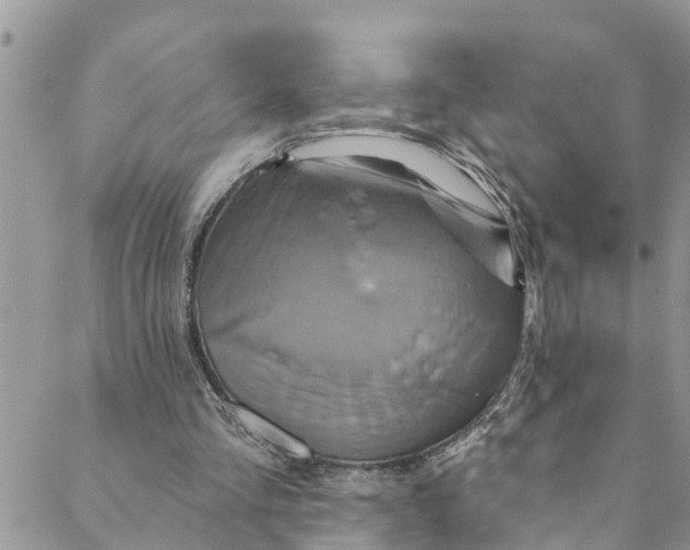 X0000088470293200706121536