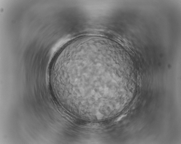 X0000088470294200706121536