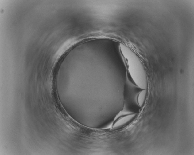 X0000088470295200706121536