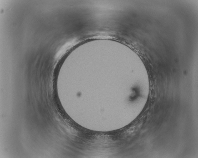 X0000088470296200706121536