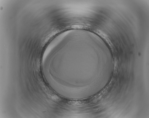 X0000088470297200706121536