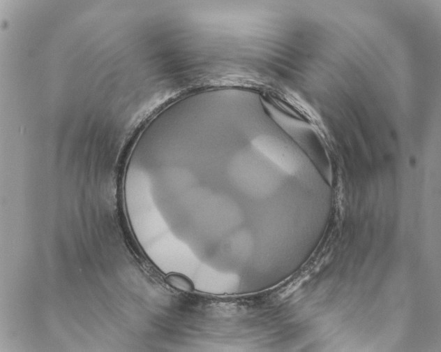 X0000088470298200706121536