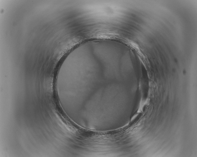 X0000088470299200706121536