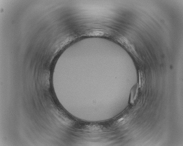 X0000088470300200706121536