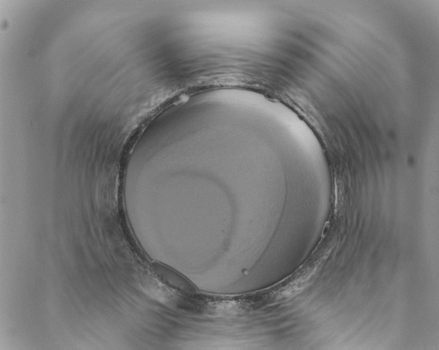 X0000088470301200706121536