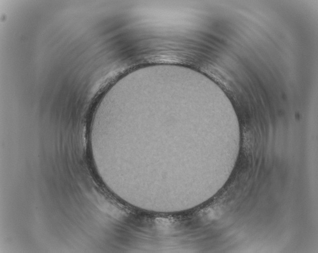 X0000088470302200706121536