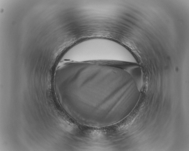 X0000088470303200706121536