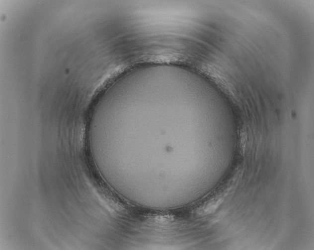 X0000088470304200706121536