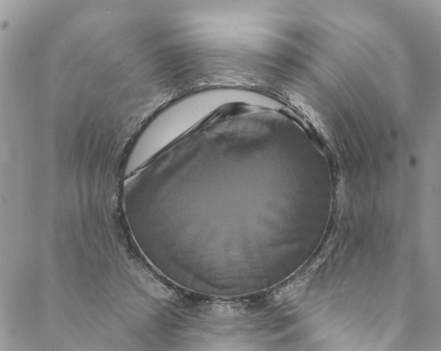 X0000088470305200706121536