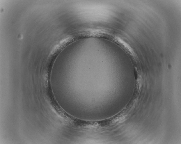 X0000088470306200706121536