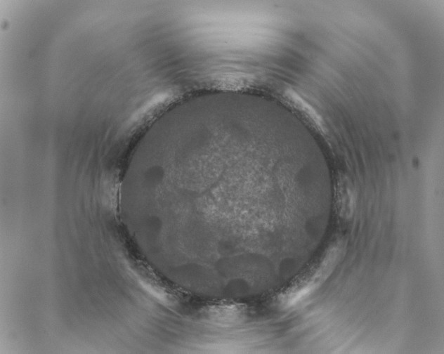 X0000088470307200706121536