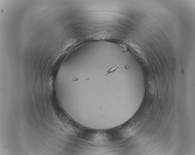 X0000088470308200706121536