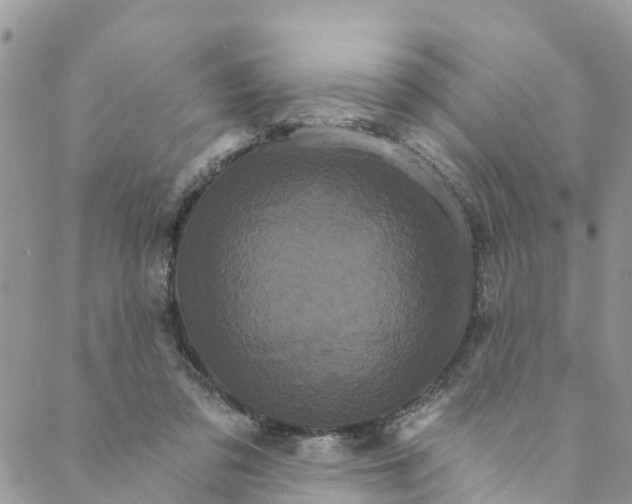 X0000088470309200706121536