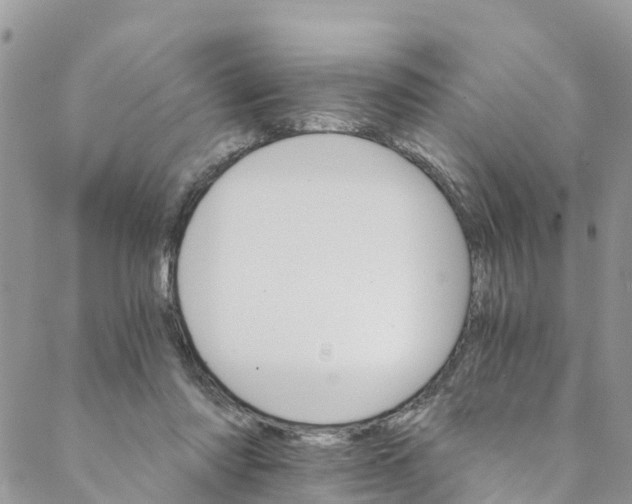 X0000088470310200706121536