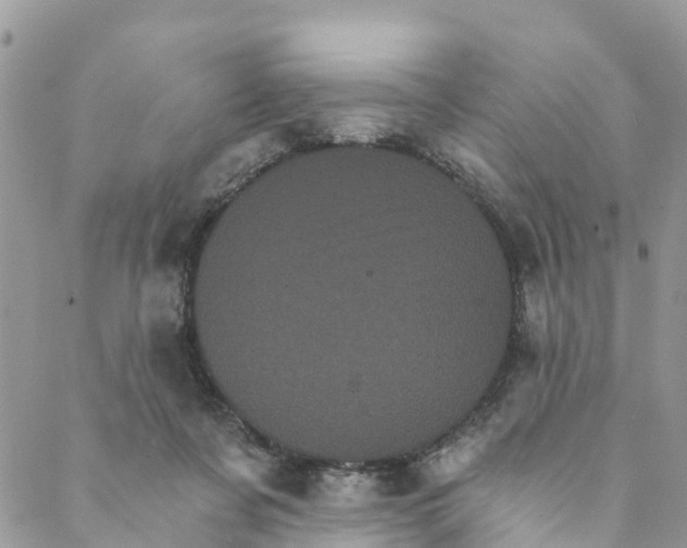 X0000088470311200706121536