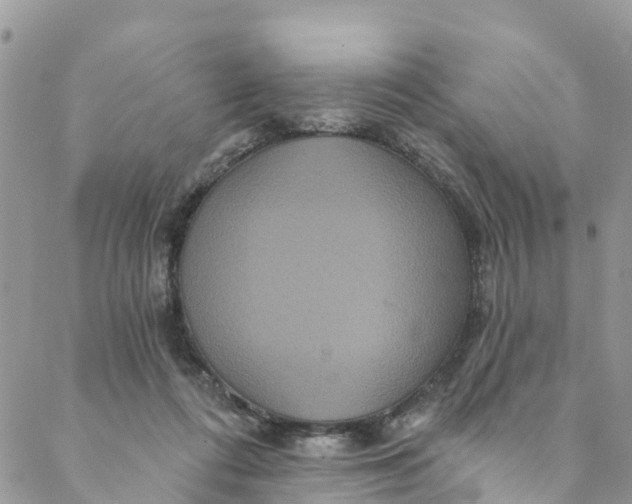 X0000088470312200706121536