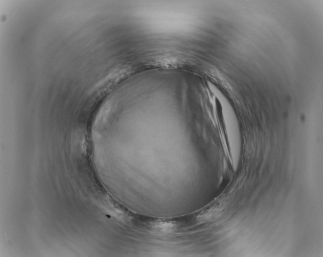 X0000088470313200706121536