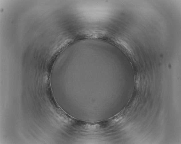 X0000088470314200706121536