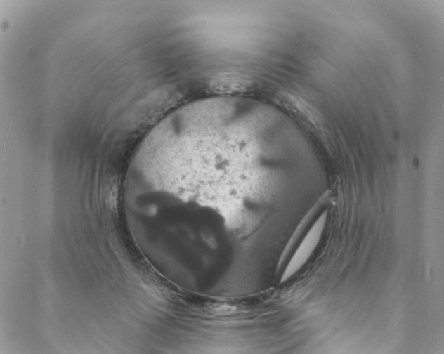 X0000088470315200706121536