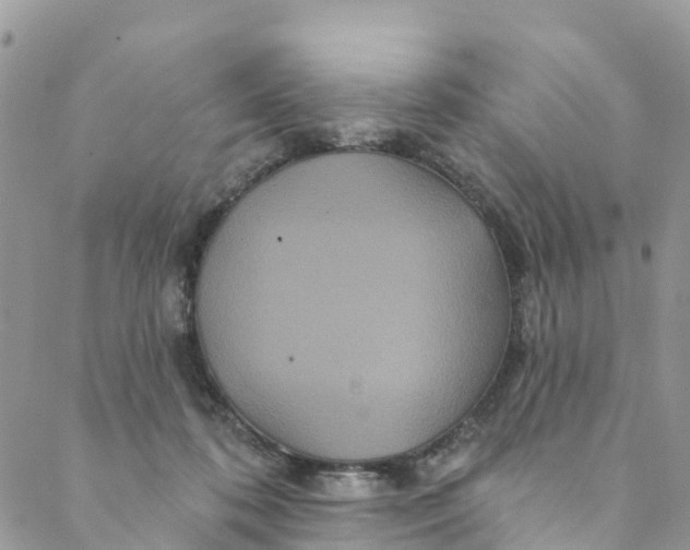 X0000088470316200706121536