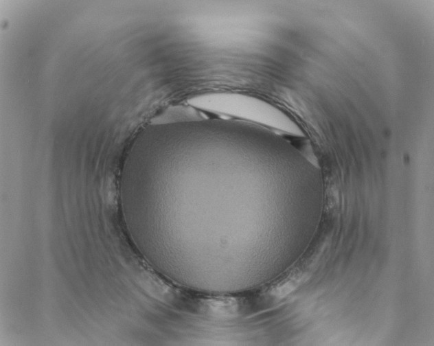 X0000088470317200706121536