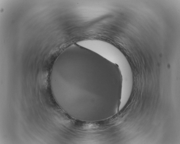 X0000088470319200706121536