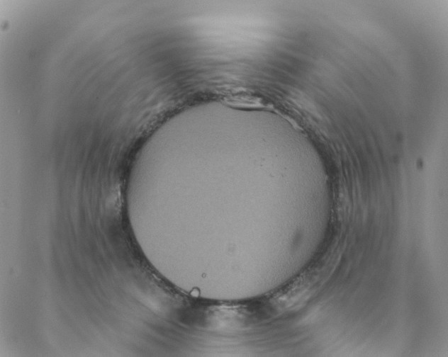 X0000088470320200706121536