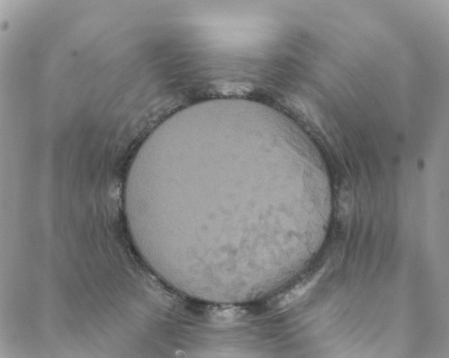 X0000088470321200706121536