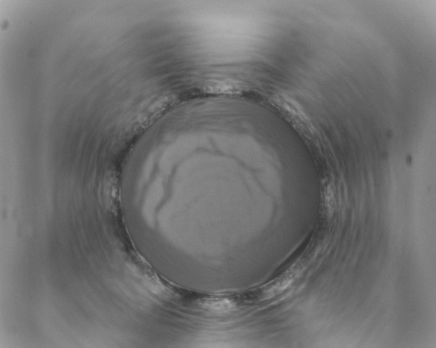 X0000088470322200706121536