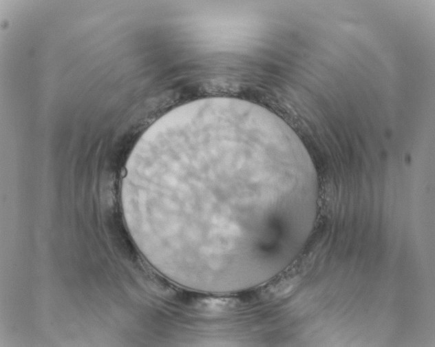 X0000088470323200706121536