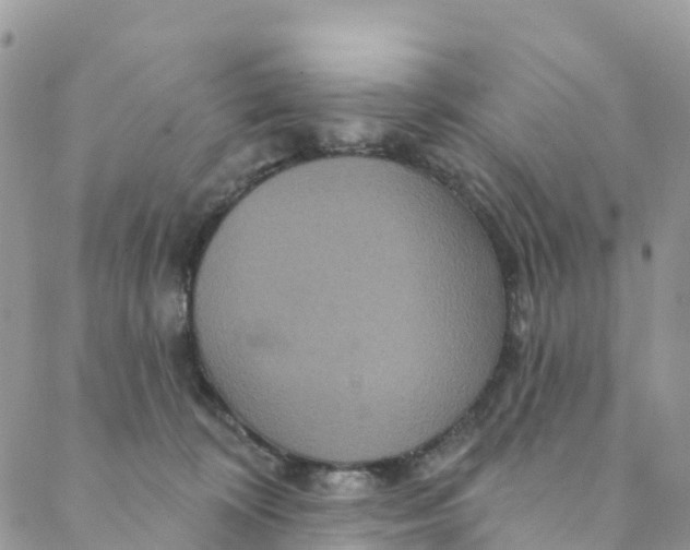 X0000088470324200706121536