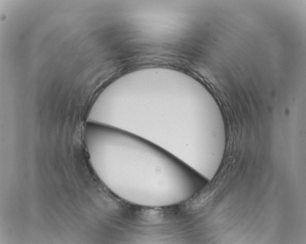 X0000088470325200706121536