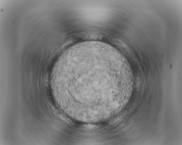 X0000088470326200706121536