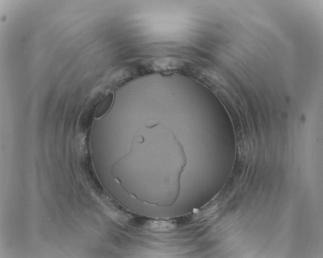 X0000088470327200706121536