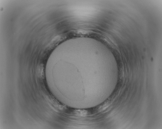 X0000088470328200706121535