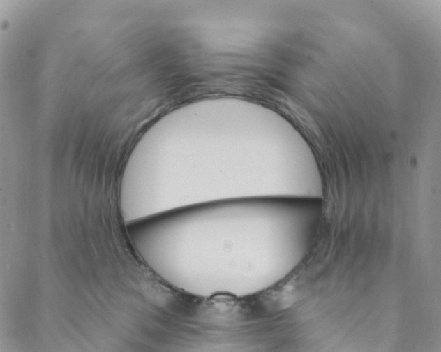 X0000088470329200706121535