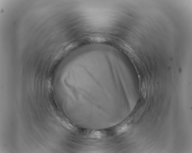 X0000088470330200706121535