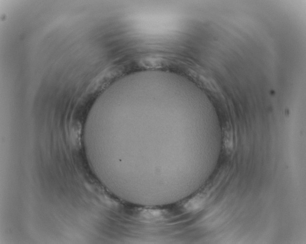 X0000088470332200706121535