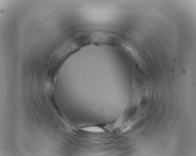 X0000088470333200706121535